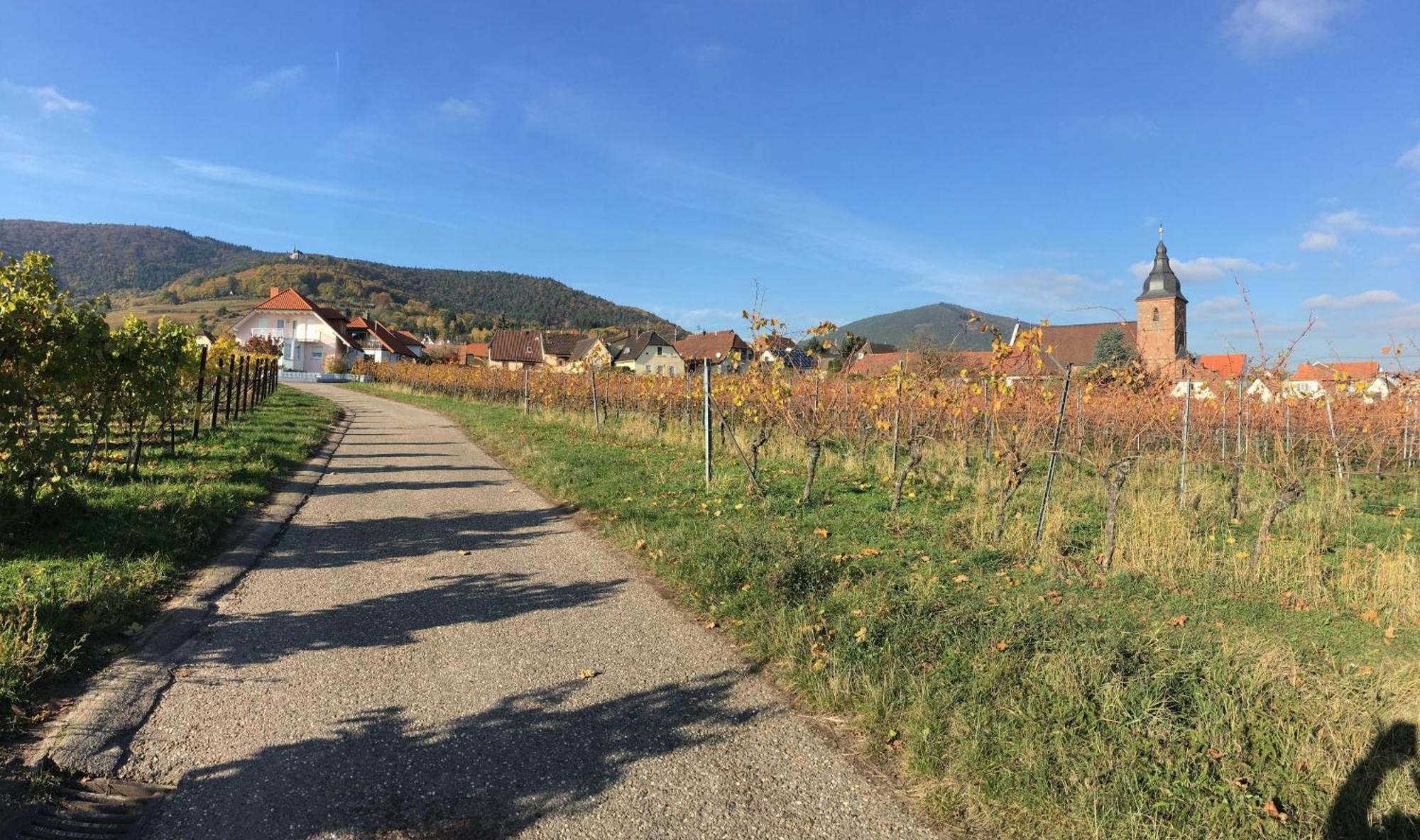 Ferienwohnung Suedpfalzblick Burrweiler Bagian luar foto