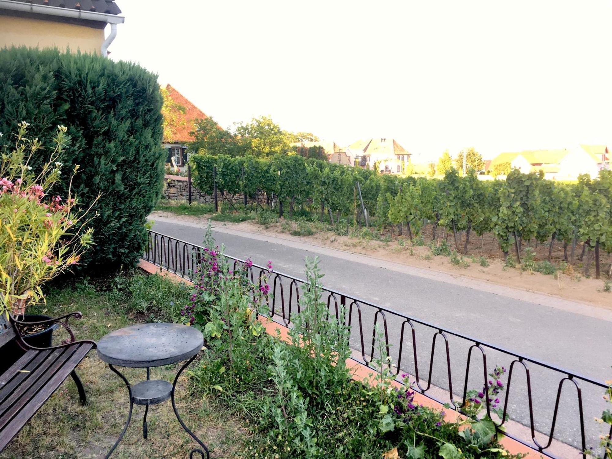 Ferienwohnung Suedpfalzblick Burrweiler Bagian luar foto