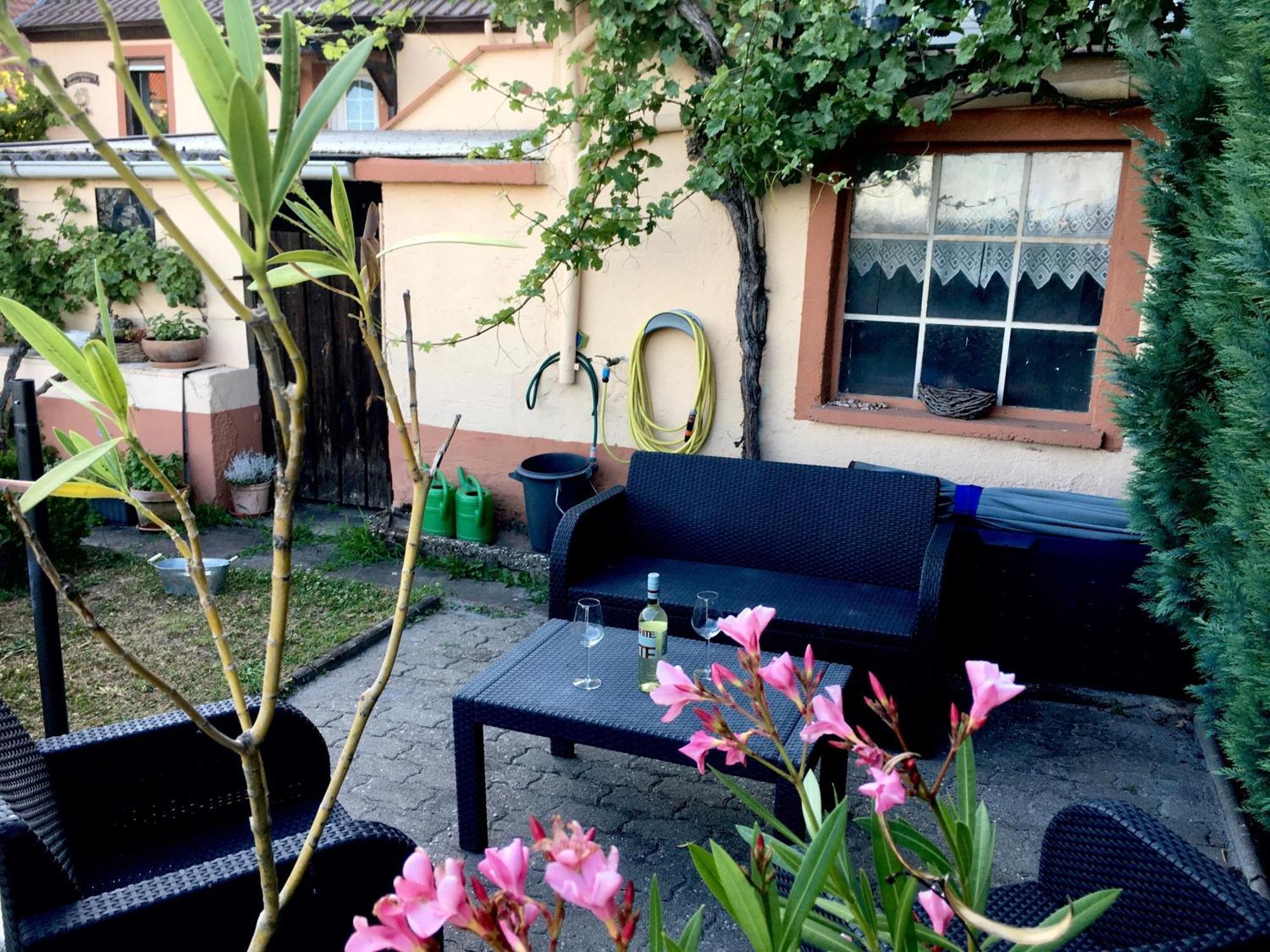 Ferienwohnung Suedpfalzblick Burrweiler Bagian luar foto